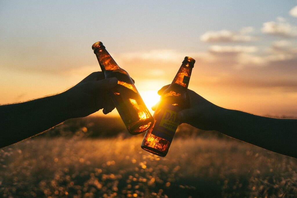 beer, cheers, sunset