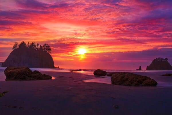 Olympic Coast Sunset